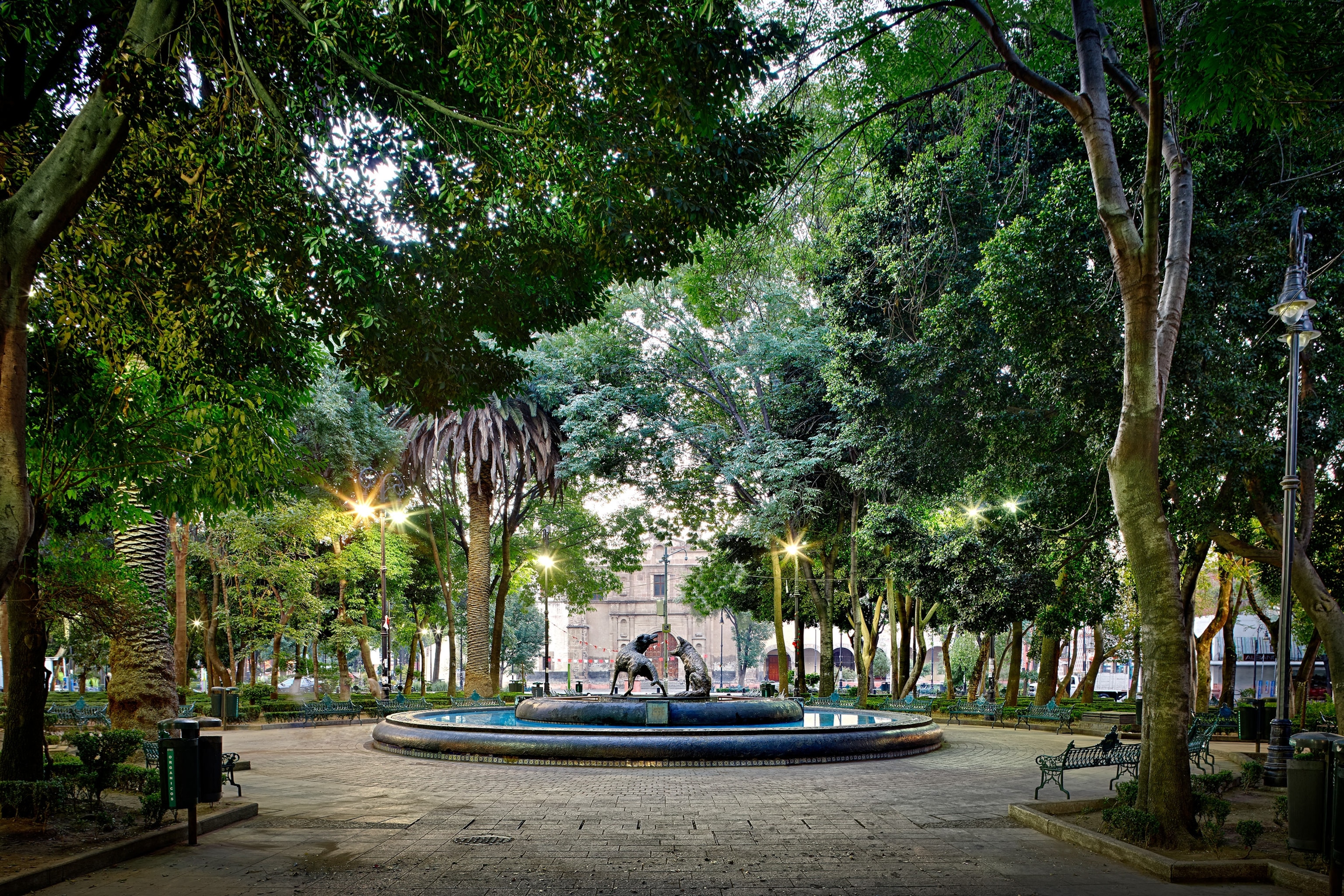park med prærieulvespringvand i Coyoacan, Mexico City, Mexico