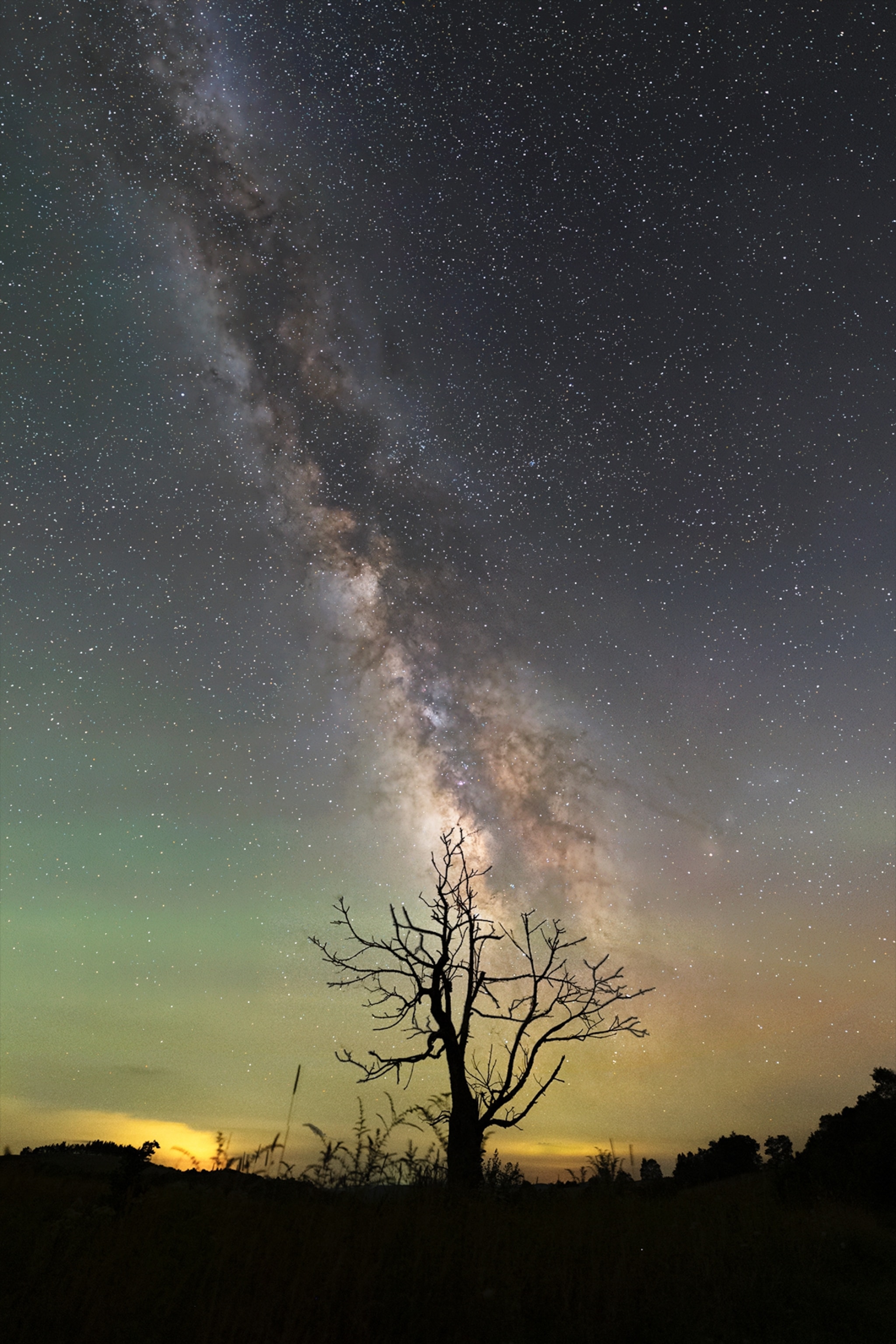 Spruce Knob Tree fra Almost Heaven Star Party i august 2025.