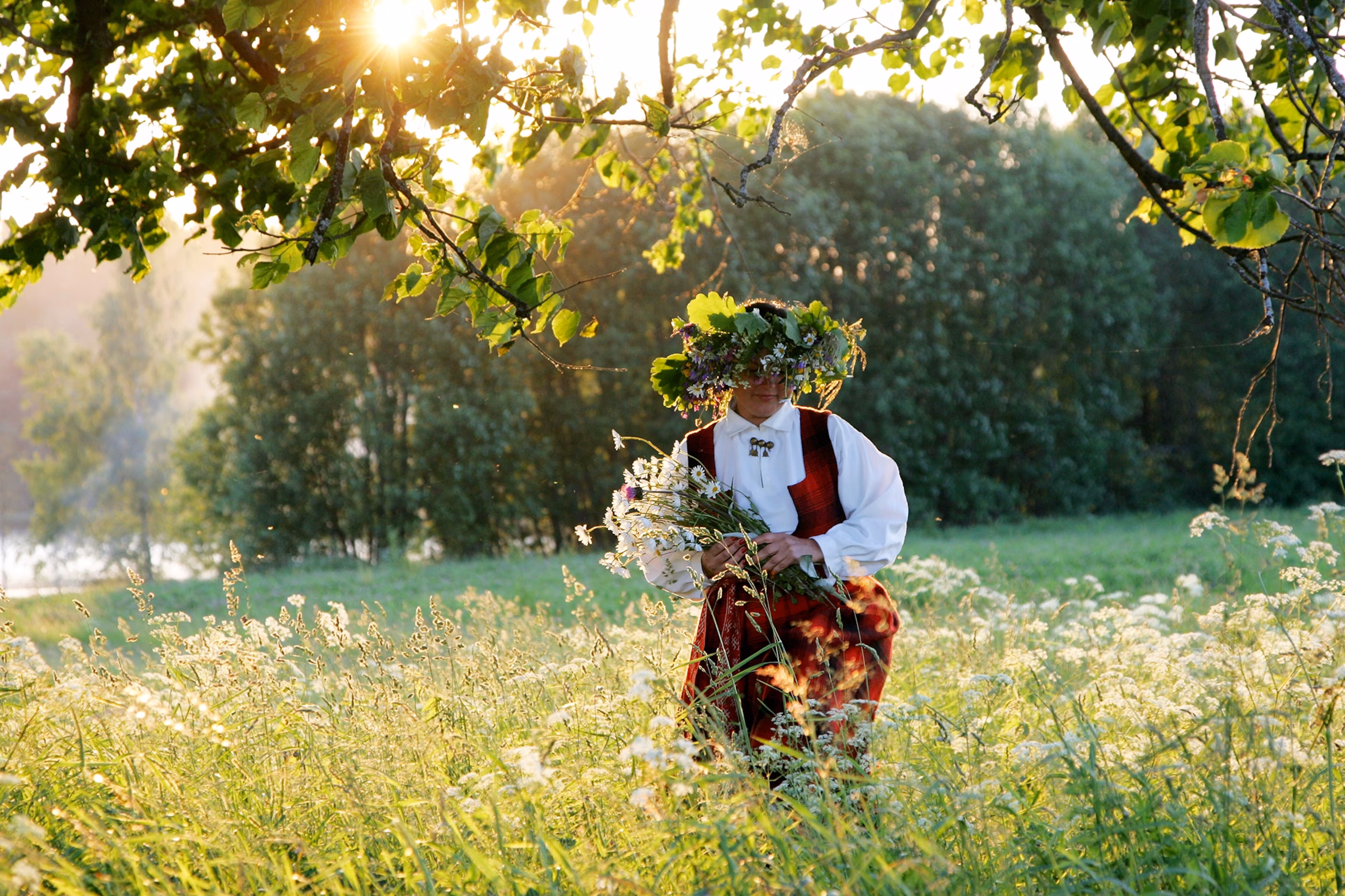 En kvinde i Letland går gennem en mark på en solskinsdag, mens hun fejrer midsommer