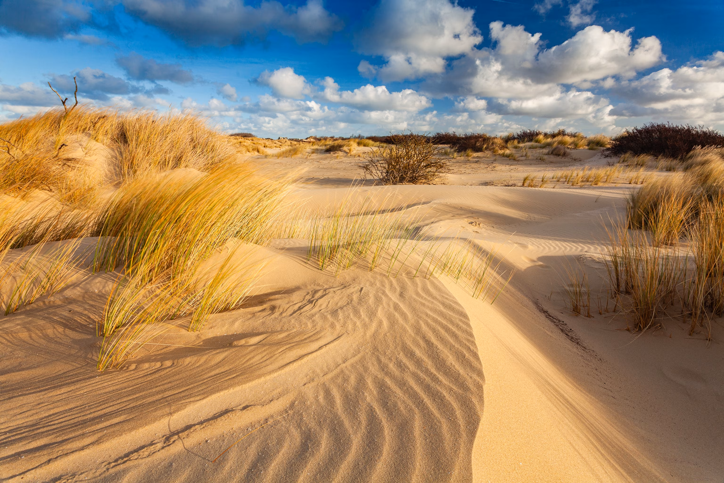 Sandklitter og græs under overskyet blå himmel.