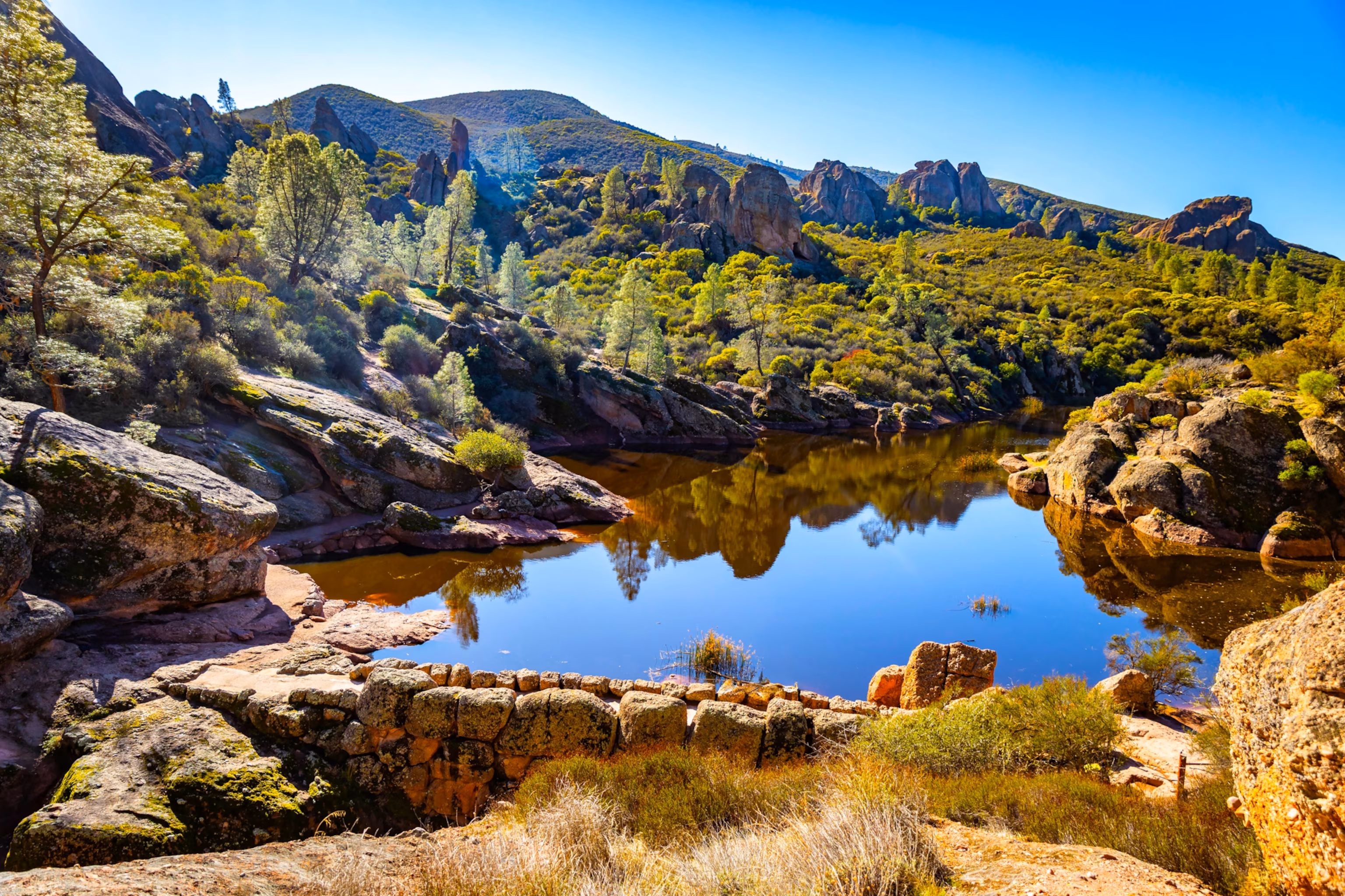 Naturskøn udsigt over Bear Gulch Reservoir i Pinnacles National Park Californien med rolige vandreflektioner og omgivende klippebakker på en solskinsdag