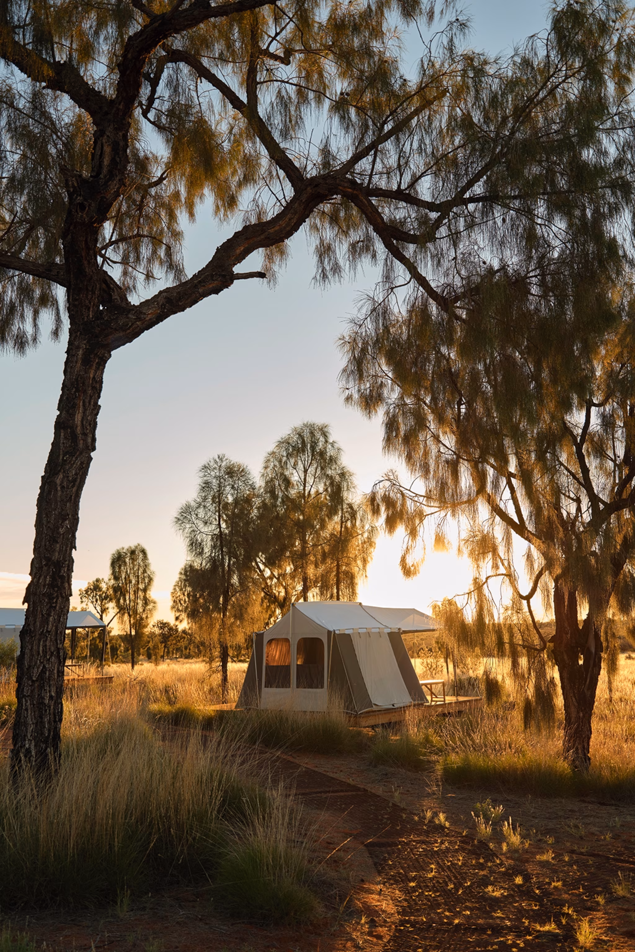 Et opslået telt mellem ørkentræer ved solnedgang i Australien.