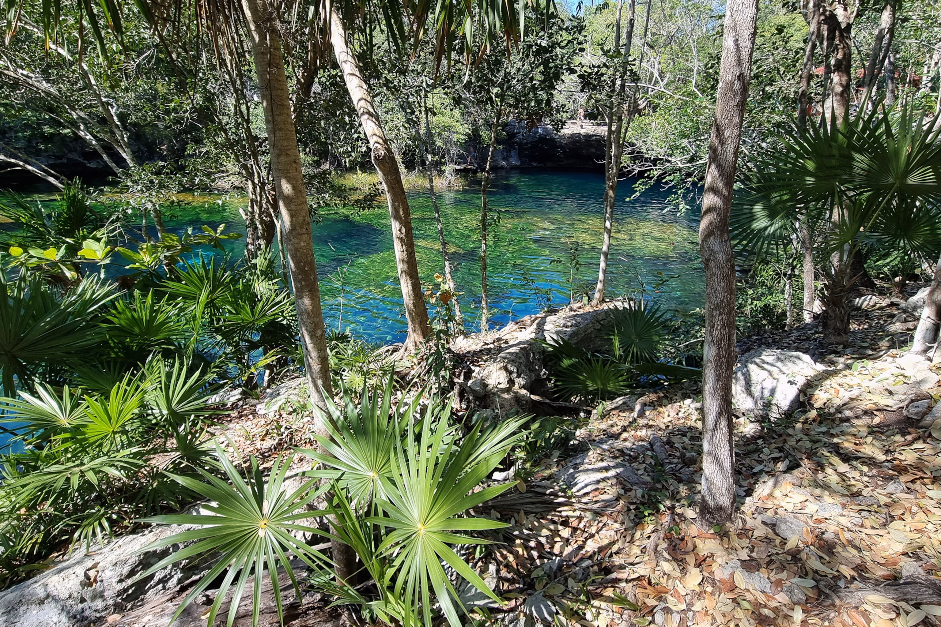 Cenote Jardín del Edén